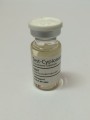 TEST CYPIONATE / TESTOSTERONE CYPIONATE 200mg/ml 10ml Vial ROHM Labs